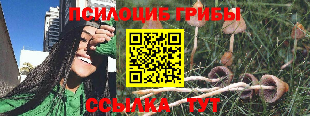 Псилоцибиновые грибы MAGIC MUSHROOMS Холмск