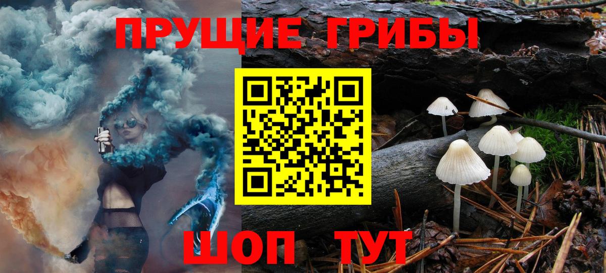 Холмск  Галлюциногенные грибы MAGIC MUSHROOMS  Вход с VPN  Псилоцибиновые грибы MAGIC MUSHROOMS 